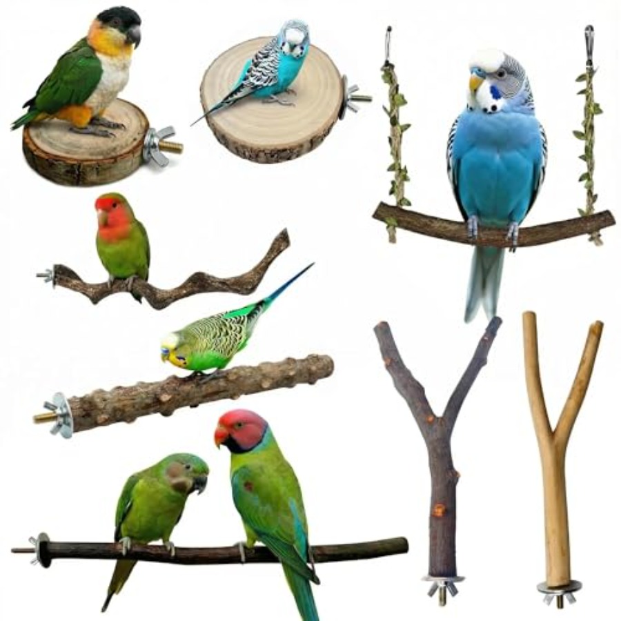 8PCS tempat bertengger burung  - Health & Wellness Unlimited ulasan dan harga