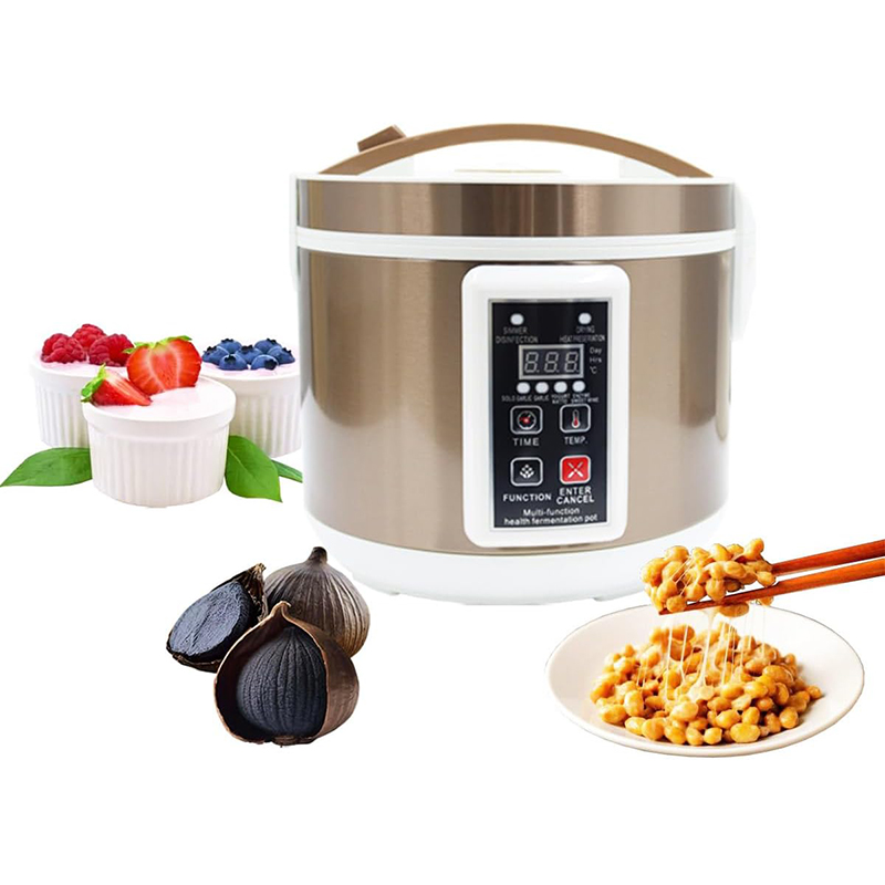 6L Kotak Fermentasi Bawang Put - Health & Wellness Unlimited ulasan dan harga