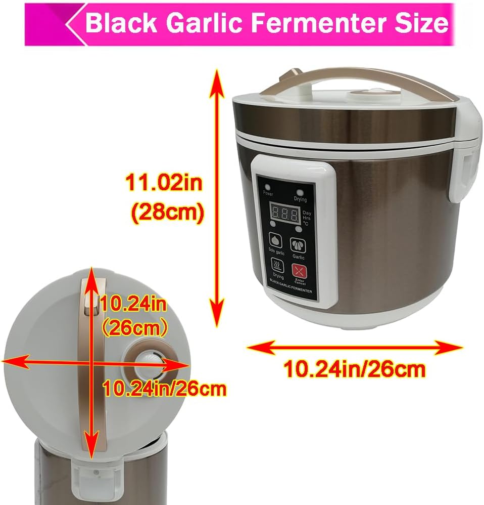 6L Kotak Fermentasi Bawang Put - Health & Wellness Unlimited ulasan dan harga