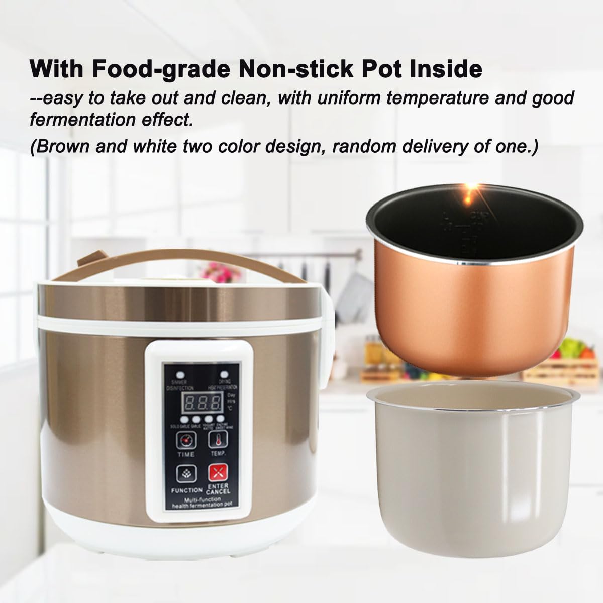 6L Kotak Fermentasi Bawang Put - Health & Wellness Unlimited ulasan dan harga